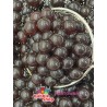 Poppping Boba - Hroznová 3,2 kg