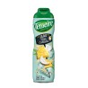 Teisseire Syrop Zero Pina Colada 600 ml do Bubble Tea
